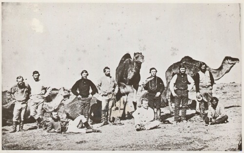Photo of the Ladies' Leichhardt Search Expedition, with 10 men and 3 camels. Dr James Patrick Murray is seated front and centre (click to embiggen)